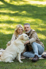 happy middle aged couple cuddling labrador dog while sitting on blanket during picnic in park.