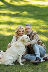 Fototapeta premium happy middle aged couple cuddling labrador dog while sitting on blanket during picnic in park.