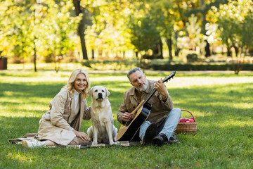 bearded middle aged man playing acoustic guitar near carefree wife and labrador dog during picnic...