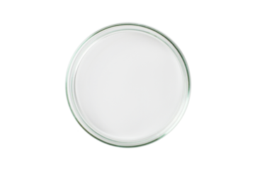 Petri dish empty transparent isolated. PNG.