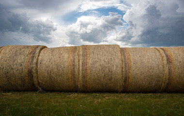 Agricultural landscape of hay bales in a field in spring season. Hilly Tuscan landscape - central Italy - Europe