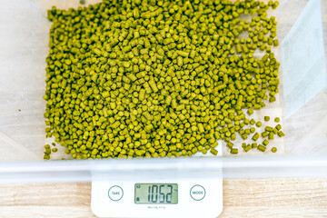 weighing granules from hops in the brewery during the production of beer