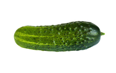 One big cucumber isolated on transparent background. Fresh whole vegetable. Summer dishes ingredient. Cut out element for advertising layout, packaging design. Organic farm food. Seasonal harvest