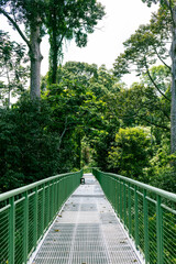 Plakat bridge in the forest
