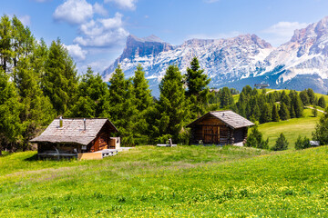 panorama of the mountains