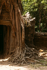 Fototapeta premium Angkor Wat in Cambodia