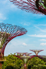 Gardens by the Bay in Singapore