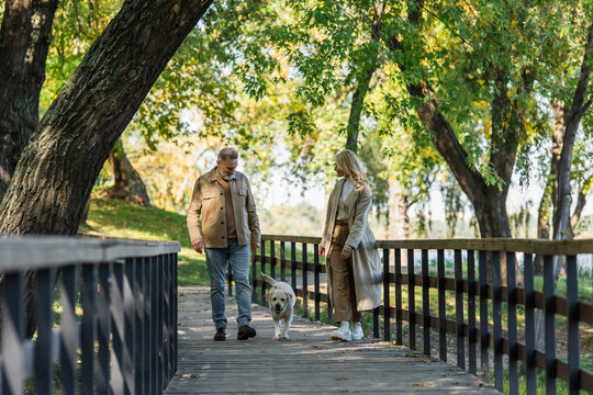 Middle aged couple with labrador walking on bridge in spring park at daytime.