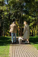 Fototapeta premium Back view of mature couple walking with labrador on walkway in park.