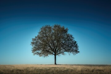 Fototapeta na wymiar a lone tree in a field with a blue sky in the background. generative ai