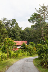 Fototapeta na wymiar mountain road in the forest in Brunei Darussalam