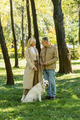Positive mature couple standing near labrador on lawn in park.