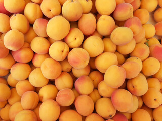 Ripe apricots fruit food background