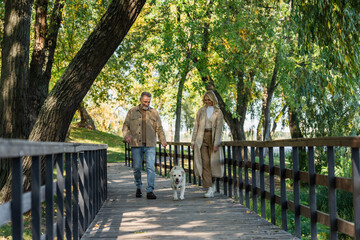 Happy middle aged couple walking near labrador on bridge in park.