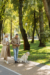 happy middle aged couple holding coffee to go and walking out with labrador dog in park during springtime.