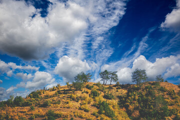 Mountain against the blue sky background. Pine trees on the mountain