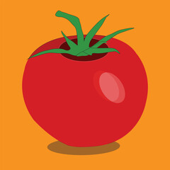 A Beautiful Tomato Vegetable Vector Art  Design 