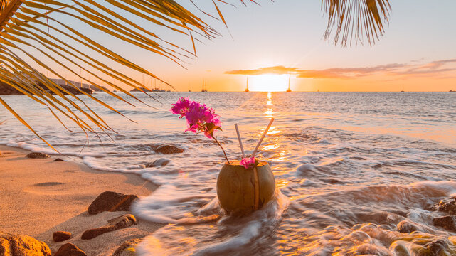 Noix de coco fraîche sur le sable au coucher de soleil en Martinique, Antilles Françaises.	