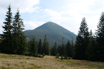 Gorgany - mountain range in Western Ukraine. View to Hamster mount