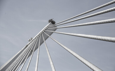 Nido de cigüeña sobre puente