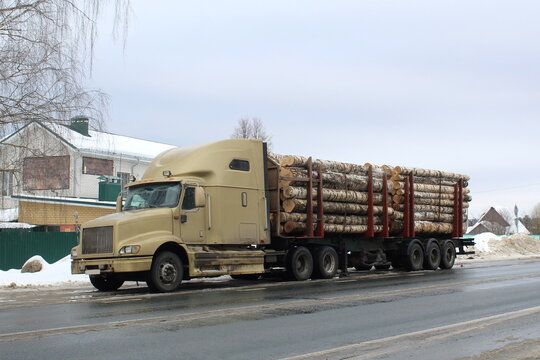 A truck with birch logs stands on the side of the road.