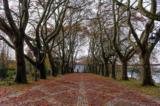 autumn in the park