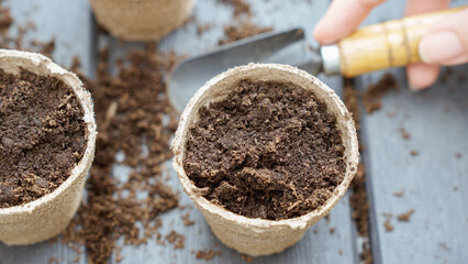 Close up of hand in yellow glove planting a seed in eco friendly biodegradable peat pots, top view,...