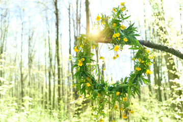 spring floral wreath in forest, green natural background. magic wiccan ritual, witchcraft. Mystery, spiritual, holiday of wheel of the year concept. crown of spring flowers - symbol of Beltane sabbat - obrazy, fototapety, plakaty