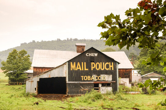 Western Pennsylvania Mail Pouch Barn with distinctive yellow "Chew Mail Pouch" hand painted sign. View from end of barn showing small end of barn.