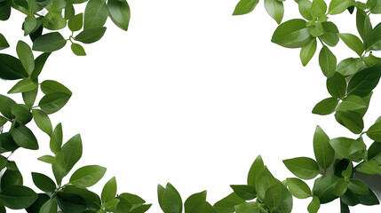 Natural green leaves frame border isolated on white background. Generative AI