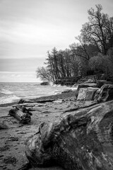 landscape with a river