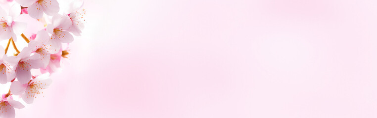 banner spring concept. Pink flower and background with place for text. generative AI