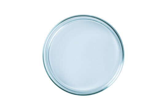 Petri Dish Empty Blue Glass Isolated. PNG.