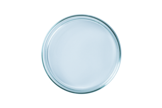 Petri dish empty blue glass isolated. PNG.