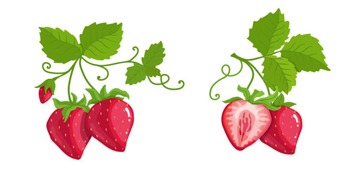Set of ripe strawberries and summer berry pieces.Cartoon vector graphics.	