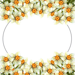 Obraz premium Watercolor frame easter with daffodil. Spring hand drawn illustration isolated on transparent background