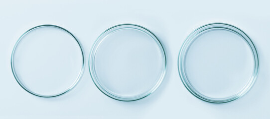 Set of Petri dishes made of blue glass. On a blue background.