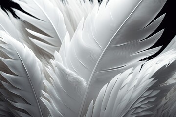 Closeup of a White Feather Background (Generative AI)