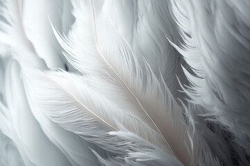Closeup of a White Feather Background (Generative AI)