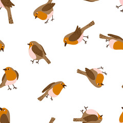 Robin birds vector seamless pattern. City urban birds winter, christmas texture.