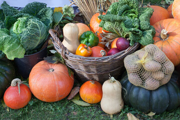 Autumn Harvest Festival, thanksgiving market. Fresh vegetables