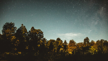 night sky