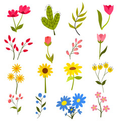 collection of cute flowers ,floral ,leaves .