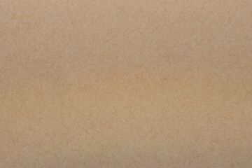 Fototapeta na wymiar Close-up of beige cardboard texture, with soft brown veins, copy space available 