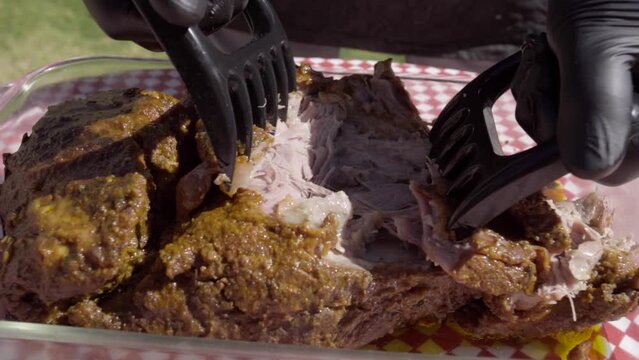 Hands with black gloves shred the meat of a pulled pork with utensils at noon in their garden