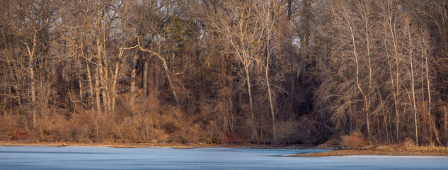 Panoramic view of leafless trees by the lake during spring time.