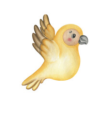 Cute parrot watercolor childish illustration.