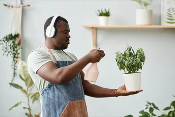 Vlies Fototapete Musikladen Side view portrait of adult black man caring for green plants at home and wearing headphones