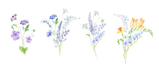 Tiny, delicate wild spring flowers. Field, meadow spring flowers. Summer field flowers. Wild poppies, garden tulips. Watercolor spring bouquets, frames and wreaths on a white background. Holiday 