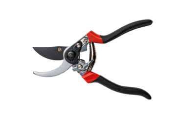 Secateurs. The hand tool is designed to remove shoots and small branches when forming the crown of small trees and shrubs. Isolated on transparent background. Open state. Top view.